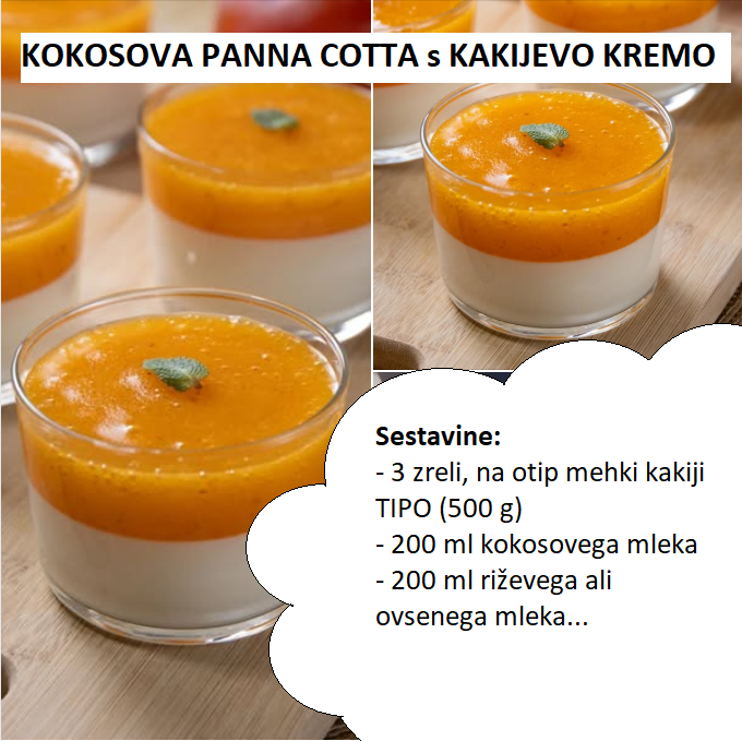 panna cotta s koksoovo kremo1